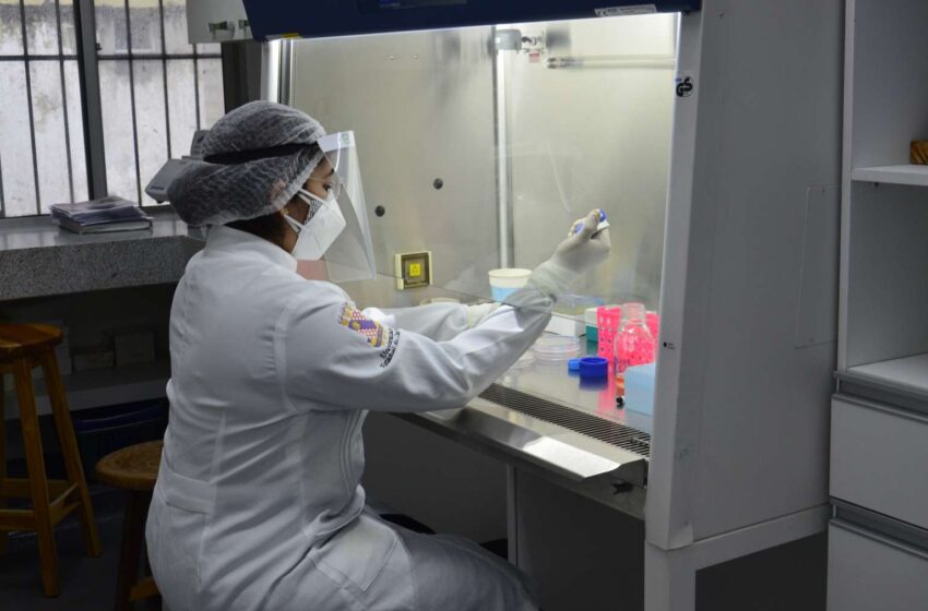  Uece desenvolve teste rápido para diagnóstico da Covid-19; resultado é disponibilizado em até cinco minutos