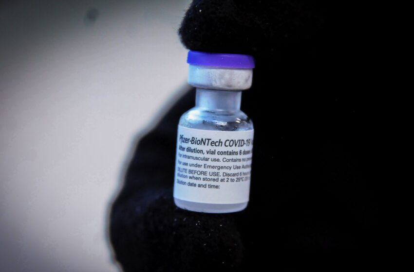 Vacina de reforço tem eficácia de 95,6%, diz Pfizer-BioNTech