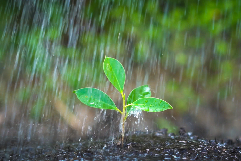  Chove em cerca de 12 municípios; confira a previsão para o fim de semana