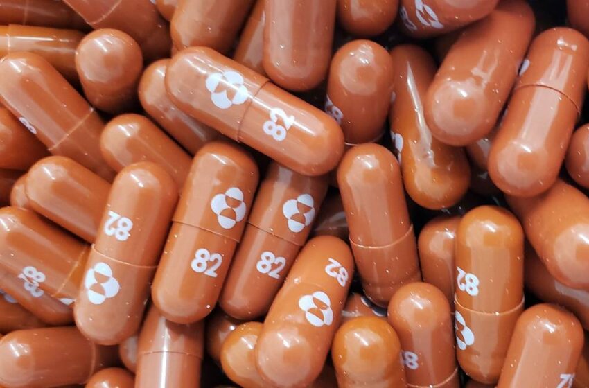  EUA liberam 2ª pílula contra covid-19; remédio da Merck é para uso em casa