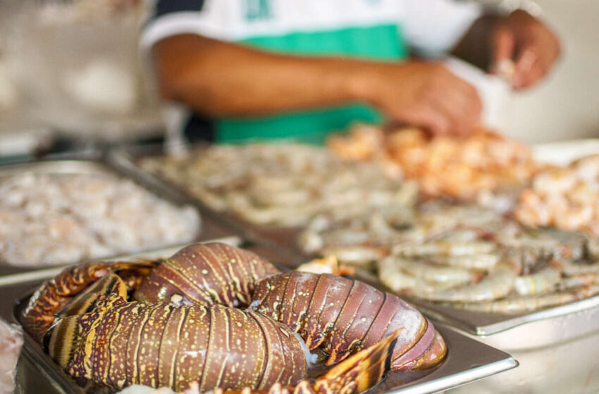  Ceará se mantém líder nas exportações de pescado.