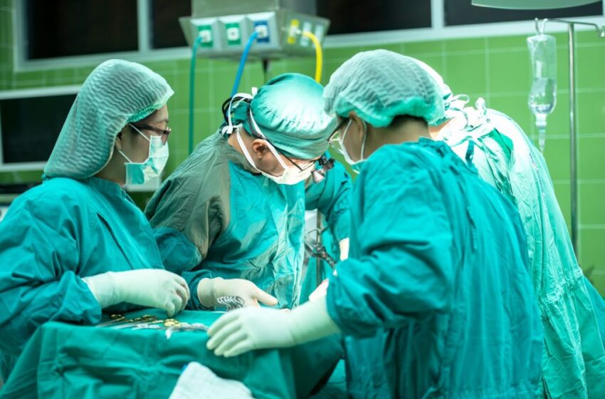  45% dos transplantes do Ceará em 2023 foram de rim.