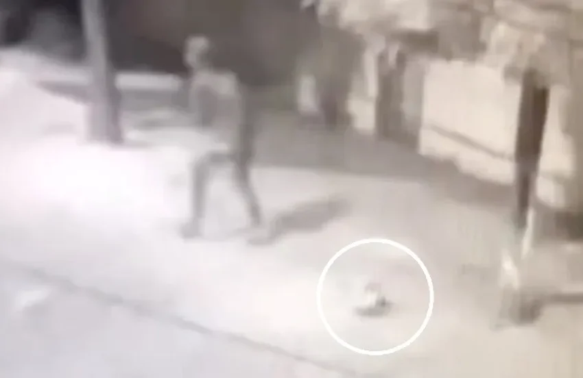  Homem suspeito de matar dois cães e agredir uma mulher é preso no interior.
