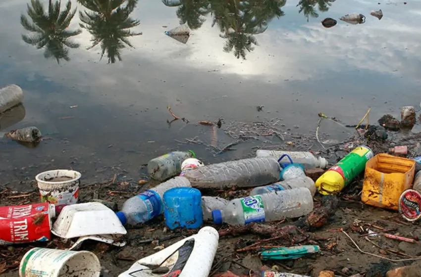  Brasil lança por ano 1,3 milhão de toneladas de plástico no oceano.