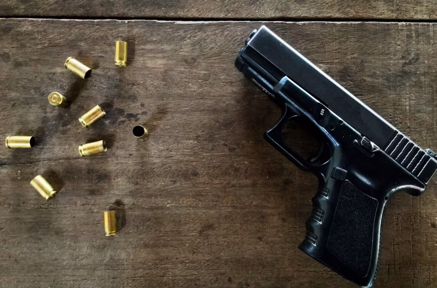 Comissão da Câmara aprova em menos de 10 minutos projeto do programa ‘Minha Primeira Arma’.